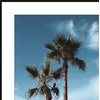 image:imageAmericanflat 13x19 Poster Frame 3Pack  Matted to 11x17  Black  Frontloading design Shatterresistant glass fits photos posters and art