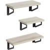 image:imageAmericanflat Football Display 3Pack  Black  Set of 3 wall mounts with metal rings and builtin keyholes all hardware included for a room office or gymFloating Shelves