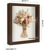 image:imageAmericanflat 24x31 Baseball Card Display Case  Black  Holds up to 35 cards lockable Polished plexiglass front wall mounted displayWalnut