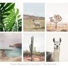 image:imageAmericanflat 2025 Wall Calendar  Motivational Quotes Design  10x13 Large Wall Calendar  12 Month Hanging Calendars for Home or Office  2025 Calendars for Planning and OrganizationCool California