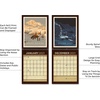 image:imageAmericanflat 2025 Wall Calendar  Motivational Quotes Design  10x13 Large Wall Calendar  12 Month Hanging Calendars for Home or Office  2025 Calendars for Planning and OrganizationNational Parks