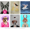 image:imageAmericanflat 2025 Wall Calendar  Motivational Quotes Design  10x13 Large Wall Calendar  12 Month Hanging Calendars for Home or Office  2025 Calendars for Planning and OrganizationDog Days