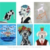 image:imageAmericanflat 2025 Wall Calendar  Motivational Quotes Design  10x13 Large Wall Calendar  12 Month Hanging Calendars for Home or Office  2025 Calendars for Planning and OrganizationDog Days