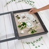 image:imageAmericanflat 8x10 Shadow Box Frame  Engineered Wood  Black  Shatterresistant glass 14 inch interior depth hangs vertical or horizontal displays keepsakes medals and memorabiliaBlack