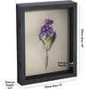 image:imageAmericanflat 8x10 Shadow Box Frame  Engineered Wood  Black  Shatterresistant glass 14 inch interior depth hangs vertical or horizontal displays keepsakes medals and memorabiliaBlack