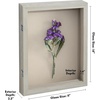 image:imageAmericanflat 8x10 Shadow Box Frame  Engineered Wood  Black  Shatterresistant glass 14 inch interior depth hangs vertical or horizontal displays keepsakes medals and memorabiliaGrey Wood