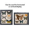 image:imageAmericanflat 8x10 Shadow Box Frame  Engineered Wood  Black  Shatterresistant glass 14 inch interior depth hangs vertical or horizontal displays keepsakes medals and memorabiliaBlack