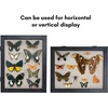 image:imageAmericanflat 8x10 Shadow Box Frame  Engineered Wood  Black  Shatterresistant glass 14 inch interior depth hangs vertical or horizontal displays keepsakes medals and memorabiliaBlack