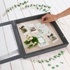 image:imageAmericanflat 8x10 Shadow Box Frame  Engineered Wood  Black  Shatterresistant glass 14 inch interior depth hangs vertical or horizontal displays keepsakes medals and memorabiliaBlack