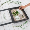 image:imageAmericanflat 8x10 Shadow Box Frame  Engineered Wood  Black  Shatterresistant glass 14 inch interior depth hangs vertical or horizontal displays keepsakes medals and memorabiliaBlack