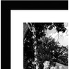 image:imageAmericanflat 12x16 Picture Frame 12Pack  Matted to 8x12  Black  Shatterresistant glass hangs vertical or horizontal hanging hardware included use with or without mat