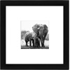 image:imageAmericanflat 8x8 Picture Frame in Black  Displays 4x4 with Mat and 8x8 Without Mat  Engineered Wood with ShatterResistant Glass  Horizontal and Vertical Formats for Wall and Tabletop 15 Pack
